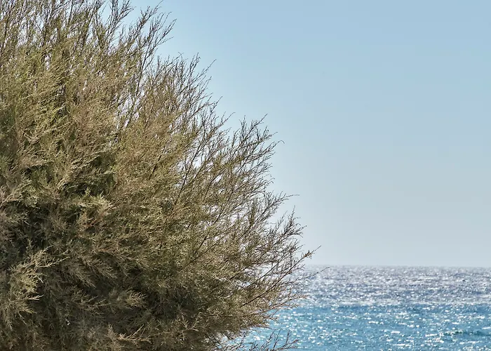 Nikki & Santorini Καμάρι