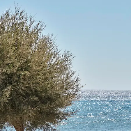 Nikki & Santorini Καμάρι